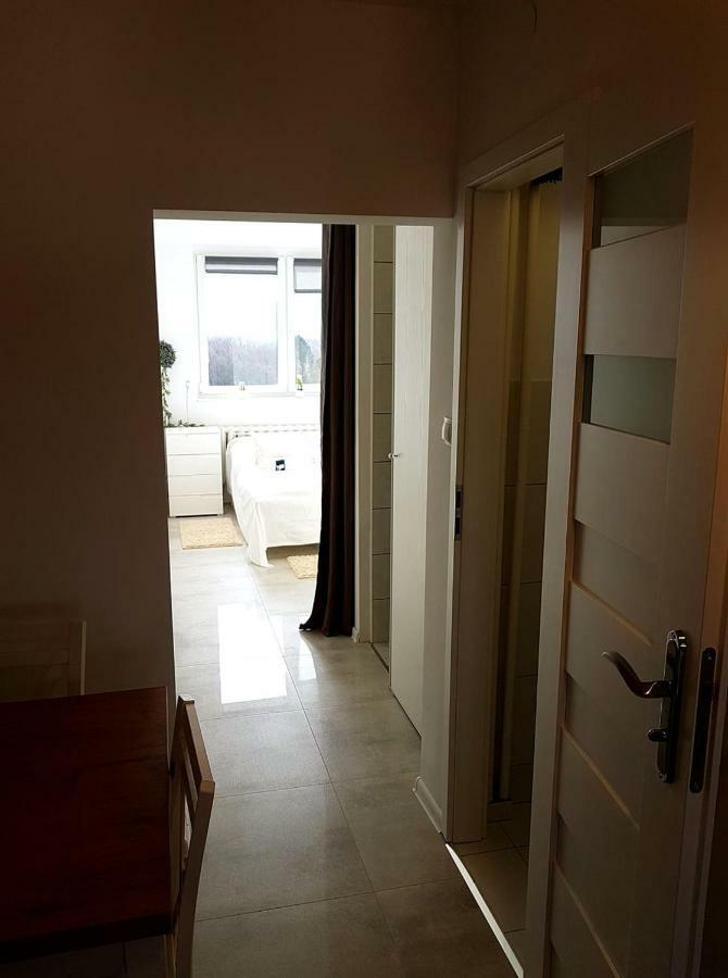 Apartament Przy Termach - Jelenia Gora - Cieplice Sl. 아파트 외부 사진