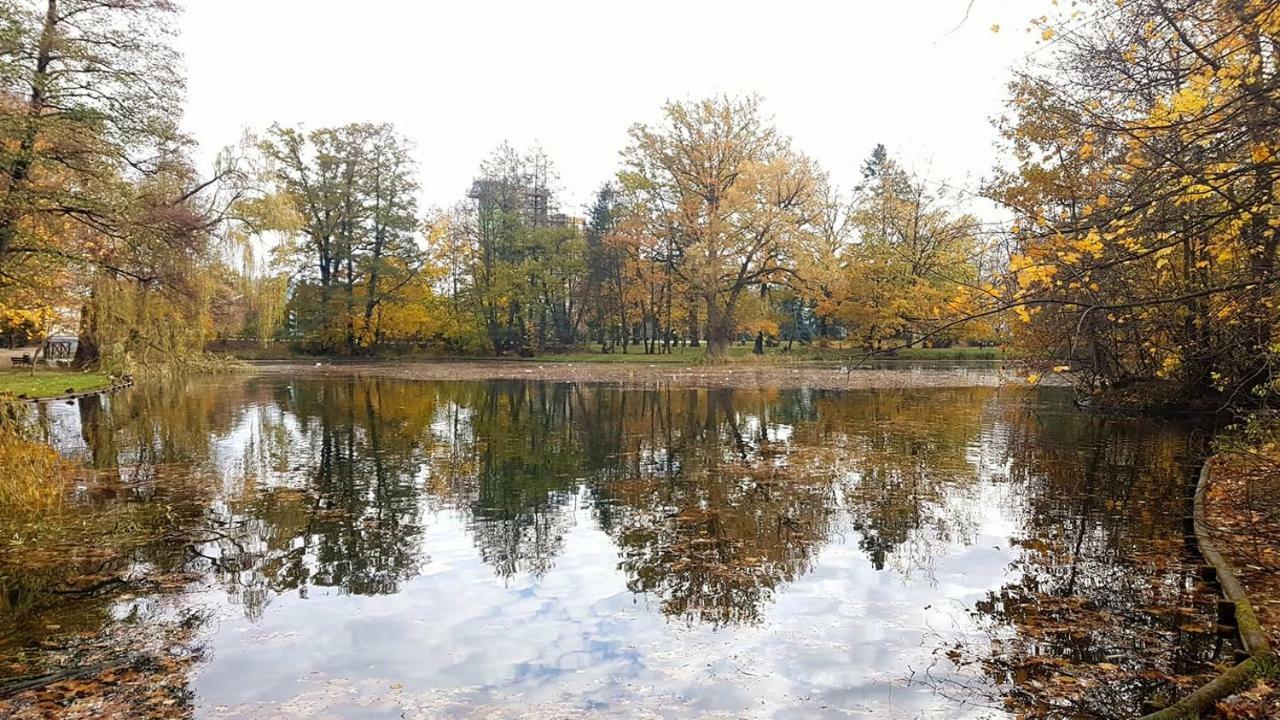Apartament Przy Termach - Jelenia Gora - Cieplice Sl. 아파트 외부 사진